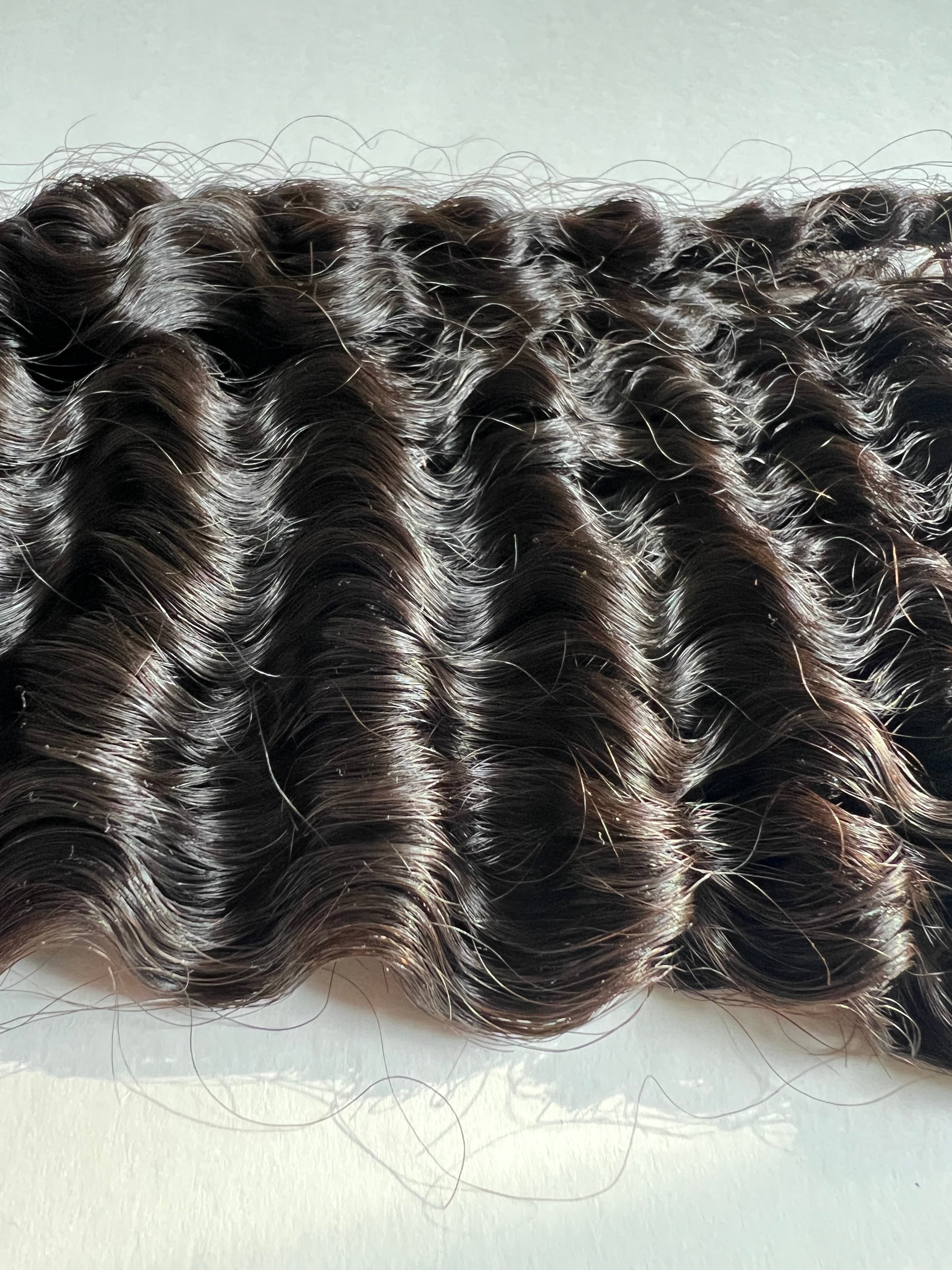 Burmese Curly 20”