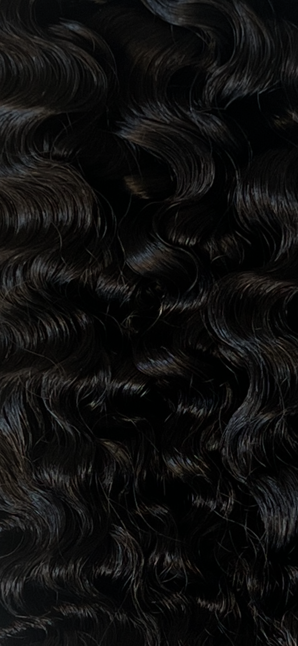 Burmese Curly 22”