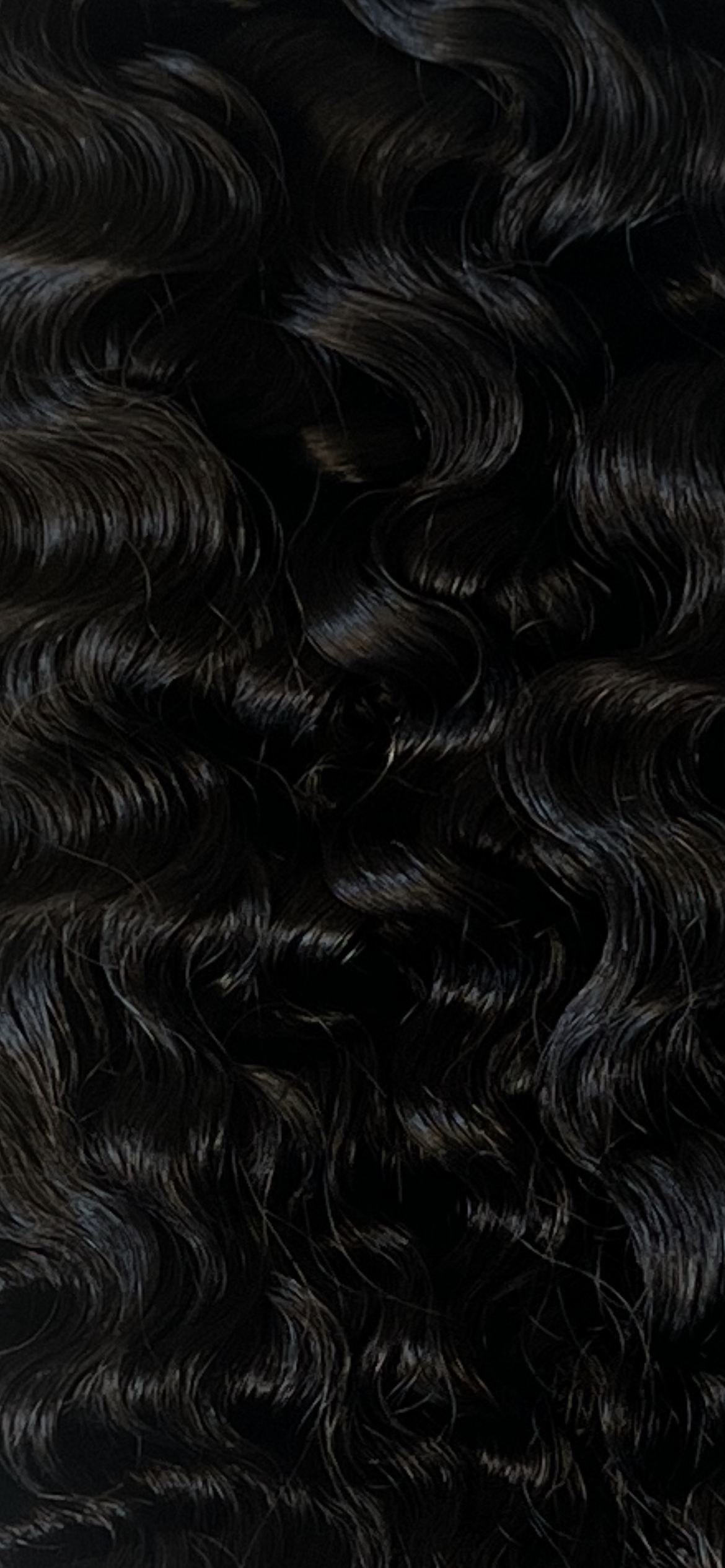Burmese Curly 22”